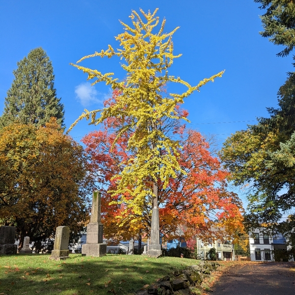 Meet your Posher, Tutti - Picture 1 of 1